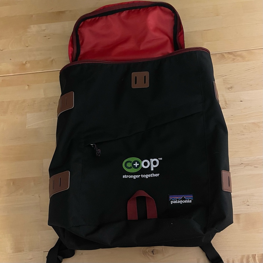 Patagonia Toromiro Backpack 22L